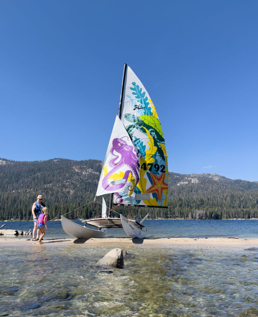 Sailing - Custom Hand Painted Sails - Hobie 16 - Huntington Lake, CA - Octopus - Starfish - Sea Turtle - large scale projects -Deborah Swanson - Studio 101 West Design & Marketing - 