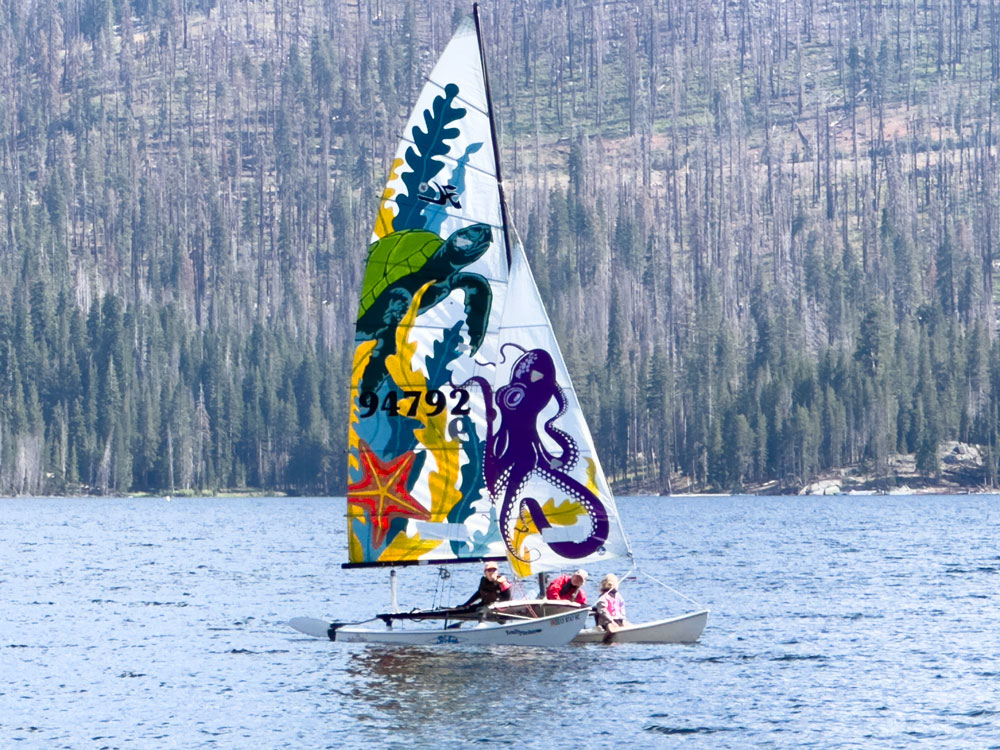 Custom Sails - Hobie 16 - Sailor Girls - Hand painted - Sea Turtle - Octopus - Starfish - Sea Kelp - Graphic Design - Studio 101 West Design & Marketing - Deborah Swanson