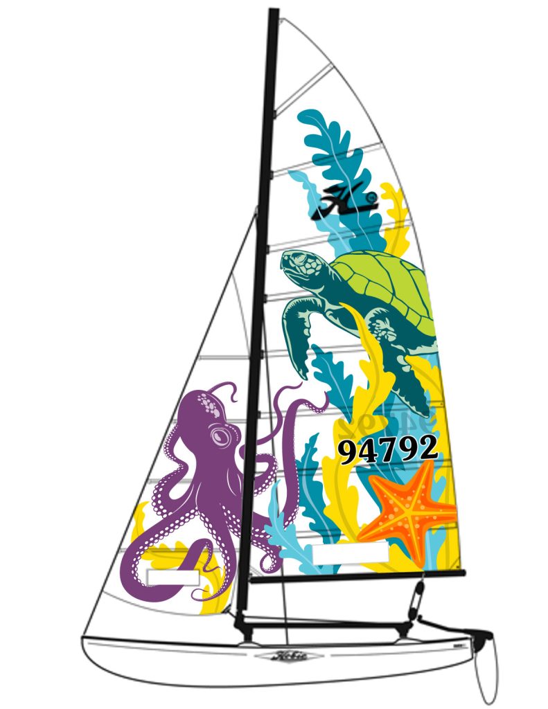 Hobie Cat 16 Sail Designer - Boat Sail Design - Hand Painted Sail Designer - Custom Sails - large scale projects -Studio 101 West Design & Marketing