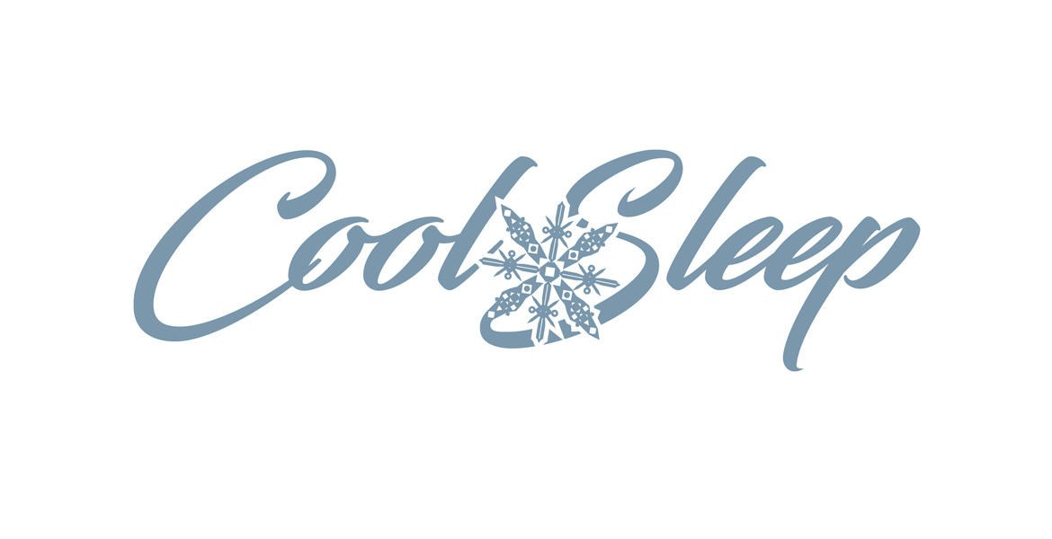 Cool Sleep Product Logo - Danican Memory Foam Mattress Company Product Logos - Studio 101 West Marketing & Design